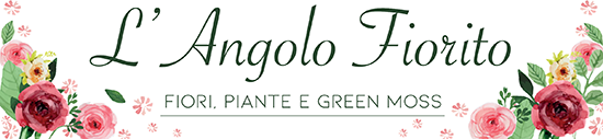 L'angolo fiorito di Di Bonaventura Vilma